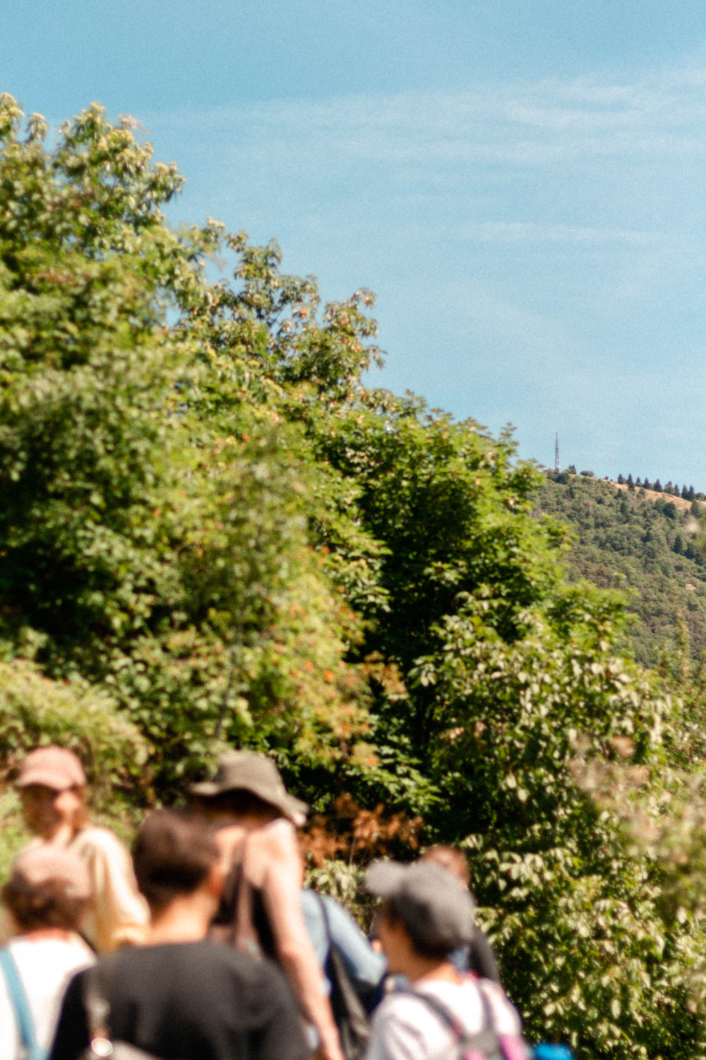 Photo by Antônio Frederico Lasalvia